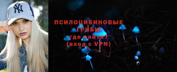 ГАЛЛЮЦИНОГЕННЫЕ ГРИБЫ Баксан