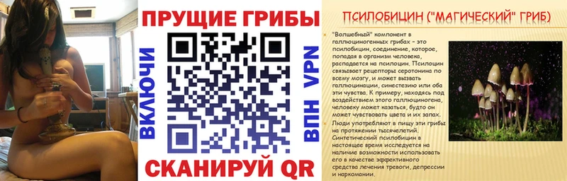 Псилоцибиновые грибы ЛСД  Ивангород 