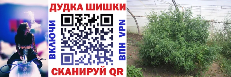 Конопля VHQ  закладки  Ивангород 